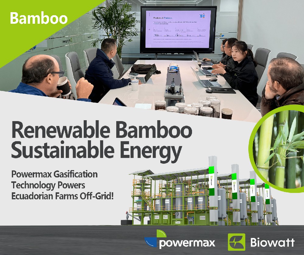 厄瓜多尔竹林发电计划：宝麦模块化气化技术