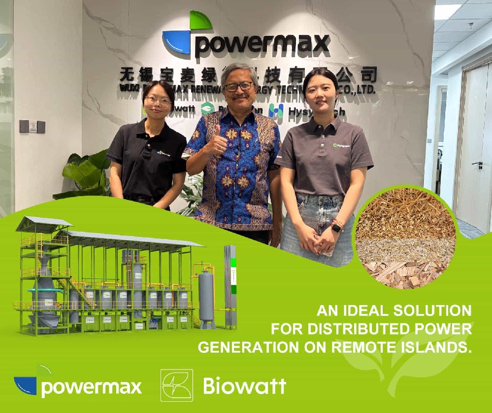 印度尼西亚的新可再生能源机遇：利用生物质气化推进脱碳进程