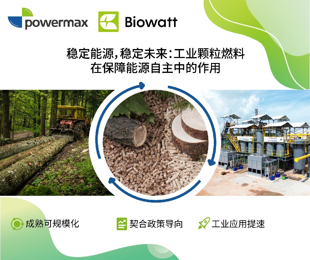 稳定能源，稳定未来：工业颗粒燃料在保障能源自主中的作用